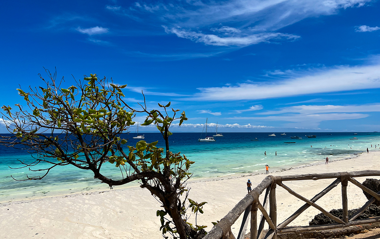 ZANZIBAR 10 Cose Da Sapere Prima Di Andare In Vacanza A Zanzibar 